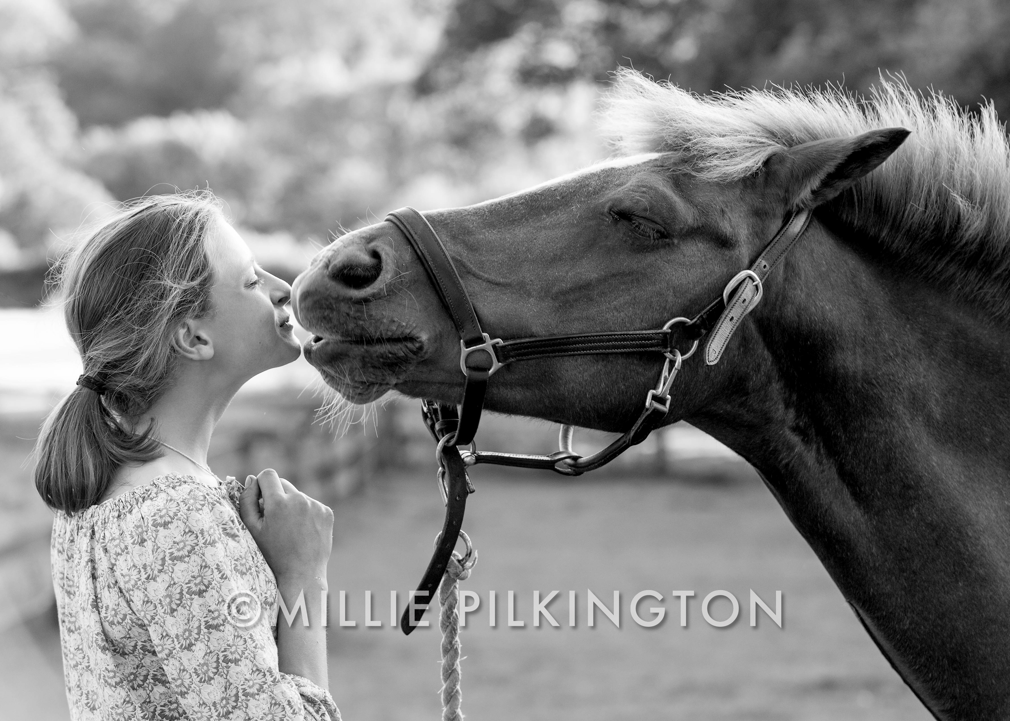 A portrait of a child's love for her horse